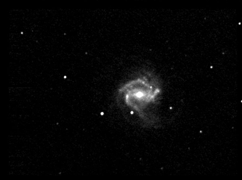 m61
